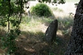 Sorgono-Area archeologica di Biru ’e Concas: menhir nel piccolo allineamento orientale Sorgono-Area archeologica di Biru ’e Concas: menhir nel piccolo allineamento orientale