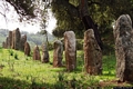 Sorgono-Area archeologica di Biru ’e Concas: il grande allineamento occidentale di menhirs di Biru ’e Concas Sorgono-Area archeologica di Biru ’e Concas: il grande allineamento occidentale di menhirs di Biru ’e Concas