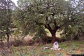 Sorgono-Il centro geografico della Sardegna