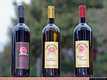 Sorso: la Cantina di Sorso-I vini della Cantina di Sorso