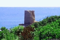 Sorso: da Platamona a Porto Torres: la torre Abbacurrente