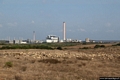 Stintino-La centrale termica ed eolica di Fiume Santo con in primo piano un gregge di pecore al pascolo