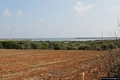 Stintino-Lo stagno di Pilo