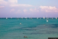 Stintino-Mare di Stintino: regata sul mare di Stintino Stintino-Mare di Stintino: regata sul mare di Stintino