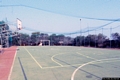 Stintino-Campo polivalente di basket e calcetto: il campo da gioco Stintino-Campo polivalente di basket e calcetto: il campo da gioco