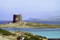 Stintino-Mare di Stintino: la Torre della Pelosa