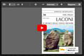 Lettura di 'Il Museo delle Statue menhir di Laconi'