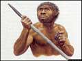 Ricostruzione delle caratteristiche fisiche dell’Homo Erectus