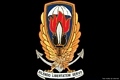 L’organizzazione segreta Gladio