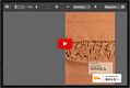Biografia di Costantino Nivola