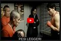 Riproduzione integrale del film 'pesi leggeri' di Enrico Pau Riproduzione integrale del film 'pesi leggeri' di Enrico Pau