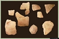 Resti di ceramica cardiale