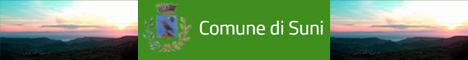 Visita del sito istituzionale del comune