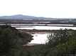Olbia-Riflessi sugli stagni nella zona umida del rio Padrogianus