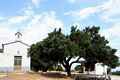 Telti-La chiesa campestre di Santa Rosa da lima