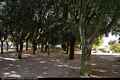 Tempio Pausania: il parco delle Rimembranze