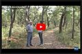 Tempio Pausania-Trasmissione Rai2 Sereno Variabile del 19/9/2015-Sughero della Gallura