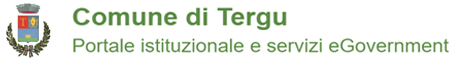 Visita del sito istituzionale del comune