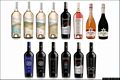 Terralba-Vini della Cantina del Bovale