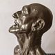 Tertenia-Museo Civico d’Arte Moderna: busto di un vecchio, forse suo padre Vincenzo