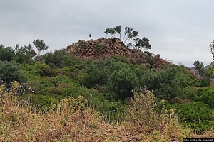 Tertenia-resti del nuraghe complesso Marosini