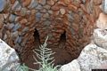 Tertenia-resti del nuraghe Longu