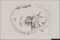 Teti-Abini: planimetria dell’area sacra