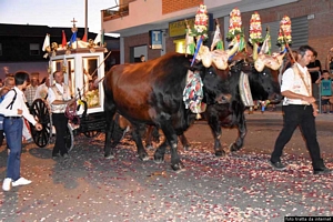 Teulada-La festa di Sant’Isidoro Agricoltore
