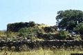 Tinnura-Resti del nuraghe semplice Tres Bias o Trobia