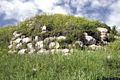 Tissi-resti del nuraghe Tresnuraghes