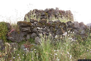 Torralba: il nuraghe Cabu Abbas Torralba: il nuraghe Cabu Abbas