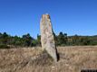 Tortolì: il grande menhir chiamato limba ’e Boi