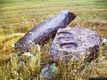 Tortolì: vicino al menhir rovesciato si trova una tavola in pietra con incise coppelle votive Tortolì: vicino al menhir rovesciato si trova una tavola in pietra con incise coppelle votive