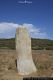 Tortol&igrave;-Un menhir di Pedra Longa in piedi