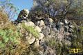 Tortol&igrave;-Arbatax: nuraghe Turuddis