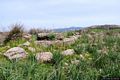 Tresnuraghes-resti della tomba di giganti di Pischina ’e Ainos