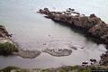 Tresnuraghes: il mare di Punta Foghe