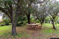 Triei-Il parco naturalistico di Mull&ograve;