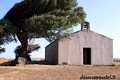Trinità d’Agultu e Vignola-La chiesa campestre di Santu Petru ossia di San Pietro Martire