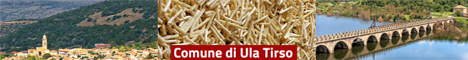 Visita del sito istituzionale del comune