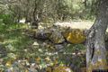Uras-resti di capanne del villaggio nuragico Sa Domu Beccia