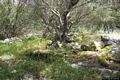 Uras-resti di capanne del villaggio nuragico Sa Domu Beccia Uras-resti di capanne del villaggio nuragico Sa Domu Beccia