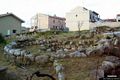 Uri-resti del nuraghe ed il villaggio nuragico di Santa Caterina