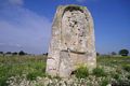 Uri-La stele della tomba di giganti Sa Pedra longa