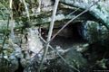 Uri-resti del pozzo sacro di su Valzu: interno del pozzo Uri-resti del pozzo sacro di su Valzu: interno del pozzo