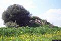 Uri: il nuraghe Bilianu Pinna