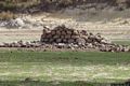 Uri: il nuraghe Chessedu
