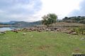 Uri-resti del nuraghe Peppe Gallu