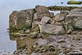 Uri-resti del nuraghe Peppe Gallu Uri-resti del nuraghe Peppe Gallu