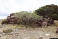 Uri: il nuraghe Sa Pigalvedda